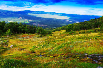 Classic Norway mountain forest landscape background