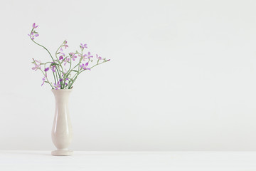 flowers in a vase on white background