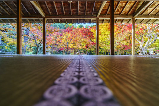 京都　圓光寺の紅葉　その２