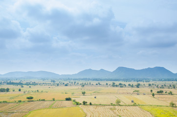 Fototapeta premium Rice field with mountain in Thailand. Landscape photo.