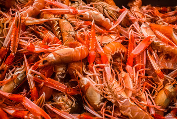 shrimp on fishing boat
