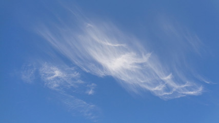 Naklejka na ściany i meble Голубое небо с белыми перистыми облаками