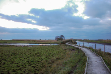 Fototapeta na wymiar Footpath through a wetland