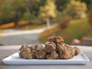 Italian white truffles