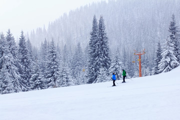Fototapeta na wymiar Skiers in the mountain forest