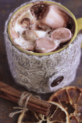 Cup of hot chocolate with marshmallow