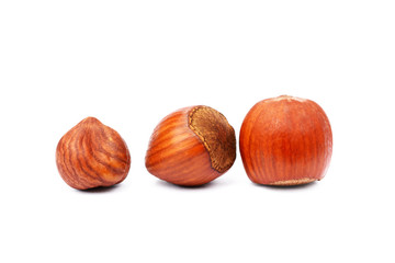 Group healty hazelnuts isolated on white background