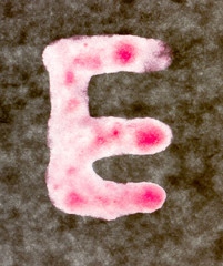 Letter E.