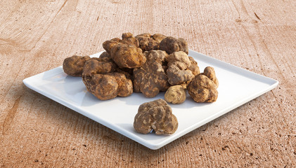 Italian white truffles