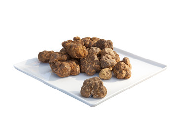 Italian white truffles