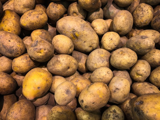 Fresh organic potato stand out among many large background potatoes in the market. Heap of potato...