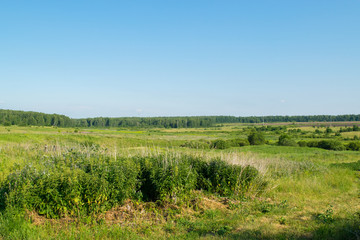 Russian meadow the spirit of expanse