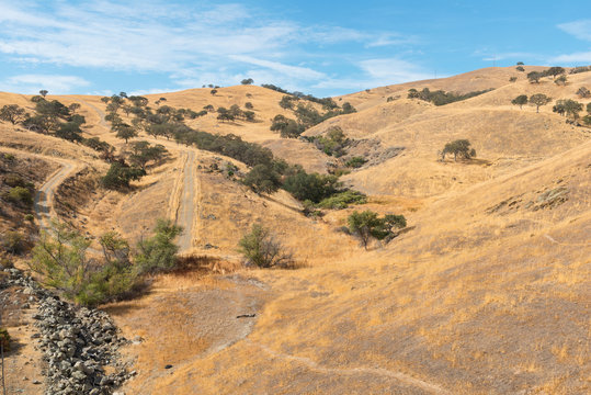 Pacheco Pass