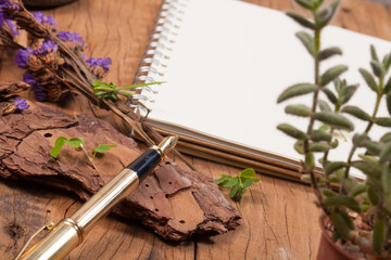 Blank notebook with fountain pen and ink set on wood texture background decorated with succulent...