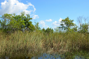 Everglades