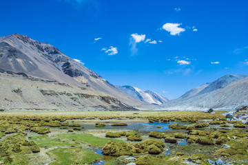 Himalayan Valley, Ladakh