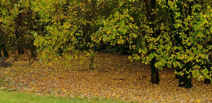 autunno