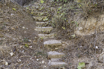 Nature stone stairs