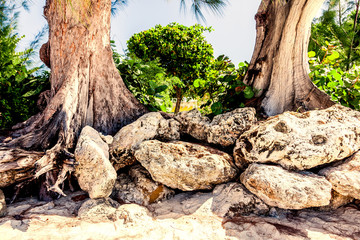 Steinformationen am Seven Miles Beach auf Grand Cayman