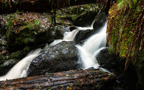 Small Waterfall in the Rain Forest