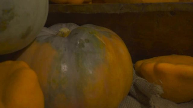 A tilting shot showing an assortment of different pumpkin varieties in a stall at a traditional market
