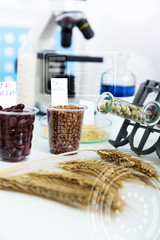 Chemical Laboratory of the Food supply . Food in laboratory, dna modify