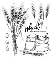 Hand drawn vector illustration - Wheat. Grain and wheat. Bag of grain. Bag of flour. Graphic elements for cafe or restaurant design