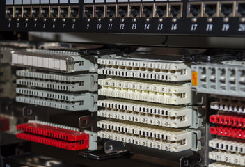 Telecommunications rack with patch panel and telephone distribut