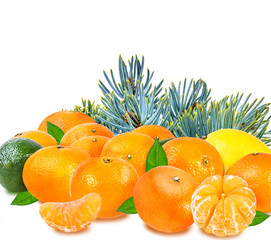 Citrus Fruit Set (tangerine, lime, lemon) isolated on white