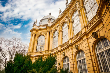 Vajdahunyad castle in Budapest,Hungary