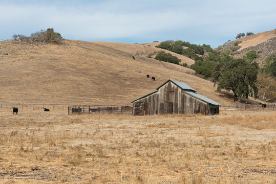 Barn