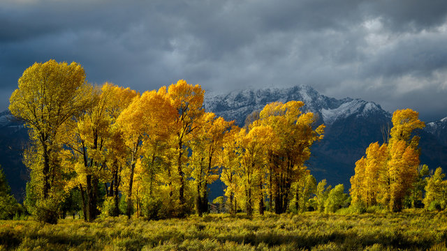 Autumn in the Gros Ventre River Valley