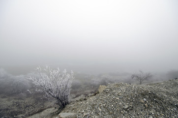 Foggy Nature of Gabala
