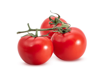 Three tomatoes on a branch