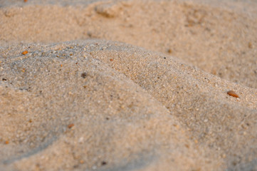 Fototapeta na wymiar Yellow sand at the sea-side
