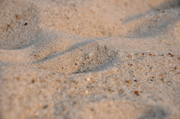 Fototapeta na wymiar Yellow sand at the sea-side