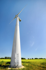 Wind turbines installed in the green field.
