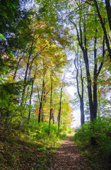 Fototapeta premium Friendship Hill National Historic Site