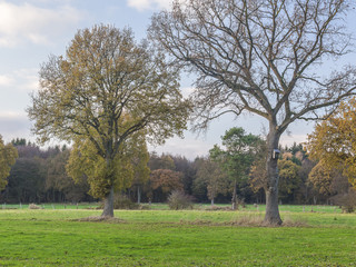 Scharmbeckstotel im Herbstkleid