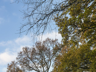 Scharmbeckstotel im Herbstkleid