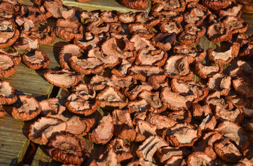 Dried fruits are dried on a wooden board. Dried apples, cut into slices