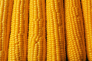 Fresh sweet corn, closeup