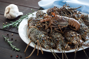 Spiny lobsters