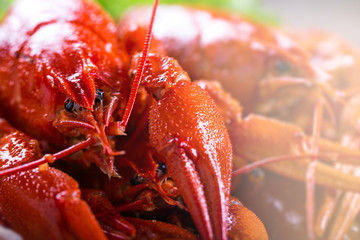 Plate of tasty boiled crayfish