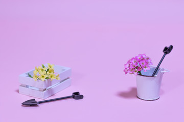 Fototapeta na wymiar Miniature Gardening Kit with Pink Background