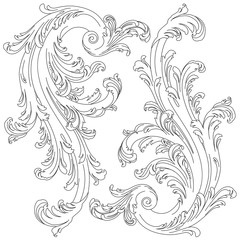 Vintage baroque scroll ornament, graphic leaves. Vector.