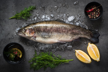 Raw brown trout on ice and ingredients. Fresh fish.