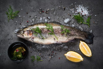 Raw brown trout on ice and ingredients. Fresh fish.