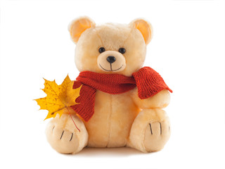 Teddy bear in a knitted scarf isolated on white background.