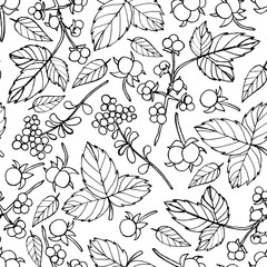 Vector seamless floral pattern with leaf and berries 